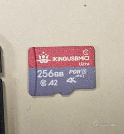 SD card 256 GB