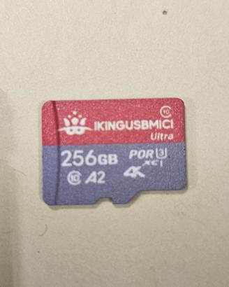 SD card 256 GB