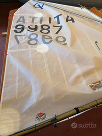 Vela optimist North Sails