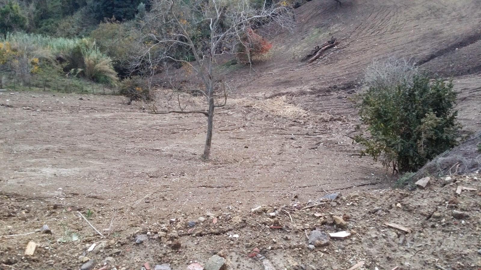 Si vende terreno agricolo con casa rurale - Vista 3
