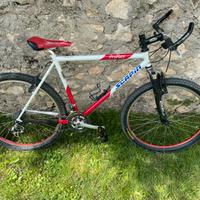 Bici mtb scapin pro race