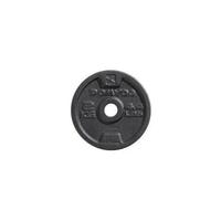 Pesi disco ghisa 2kg 1kg