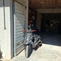 Smembro phantom f12 lc