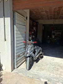 Smembro phantom f12 lc