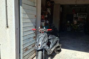 Smembro phantom f12 lc