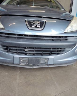 Paraurti anteriore PEUGEOT 207 del 2007