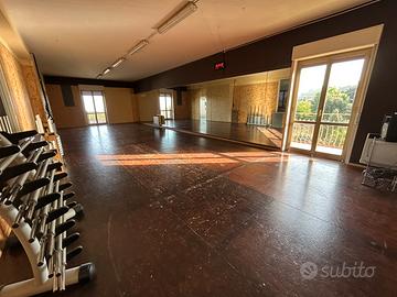 Palestra studio