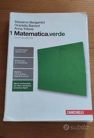 Libro matematica verde 1