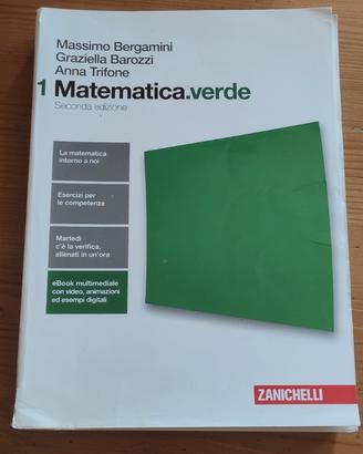 Libro matematica verde 1