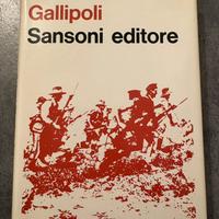 Gallipoli. Libro sulla campagna della 1 GM