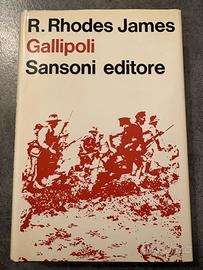 Gallipoli. Libro sulla campagna della 1 GM