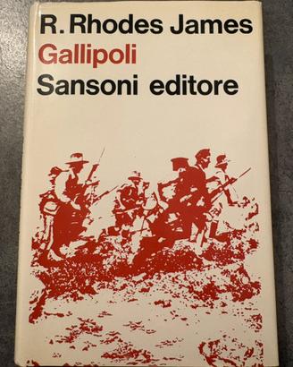 Gallipoli. Libro sulla campagna della 1 GM