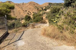 TERRENO AGRICOLO SCOSCESO A ROCCALUMERA
