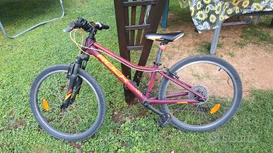 bicicletta junior