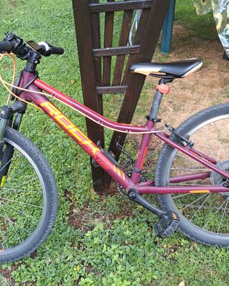 bicicletta junior