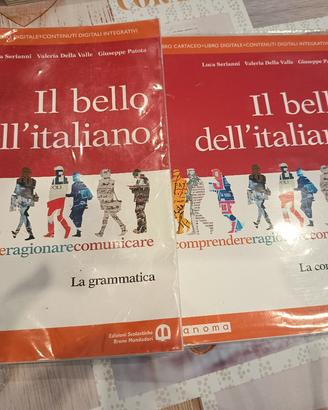 libro il bello dell' italiano 