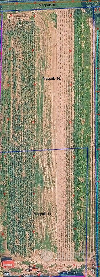 Terreno Edificabile e agricolo - Vista 3