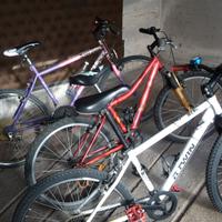 tre bici mtb 24'' 24'' 26''
