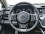 Immagine 11