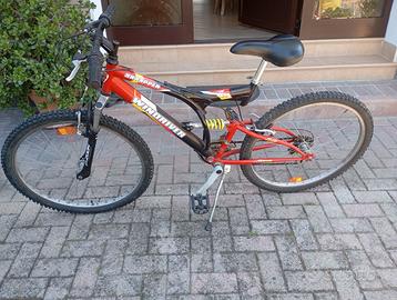 MTB professionale windriver misura 26
