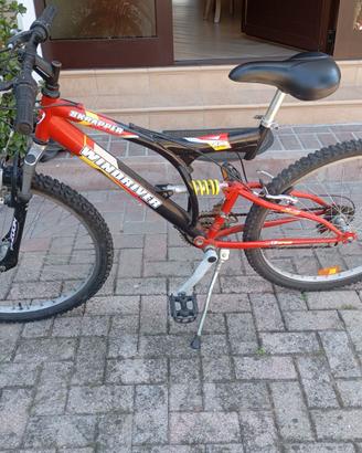 MTB professionale windriver misura 26