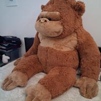 pelusce gigante 
