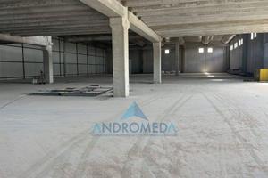 Immobile di 1300 m² a Vitulazio
