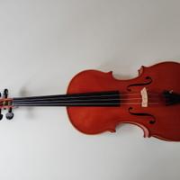 Viola A.Carloni