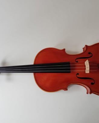 Viola A.Carloni