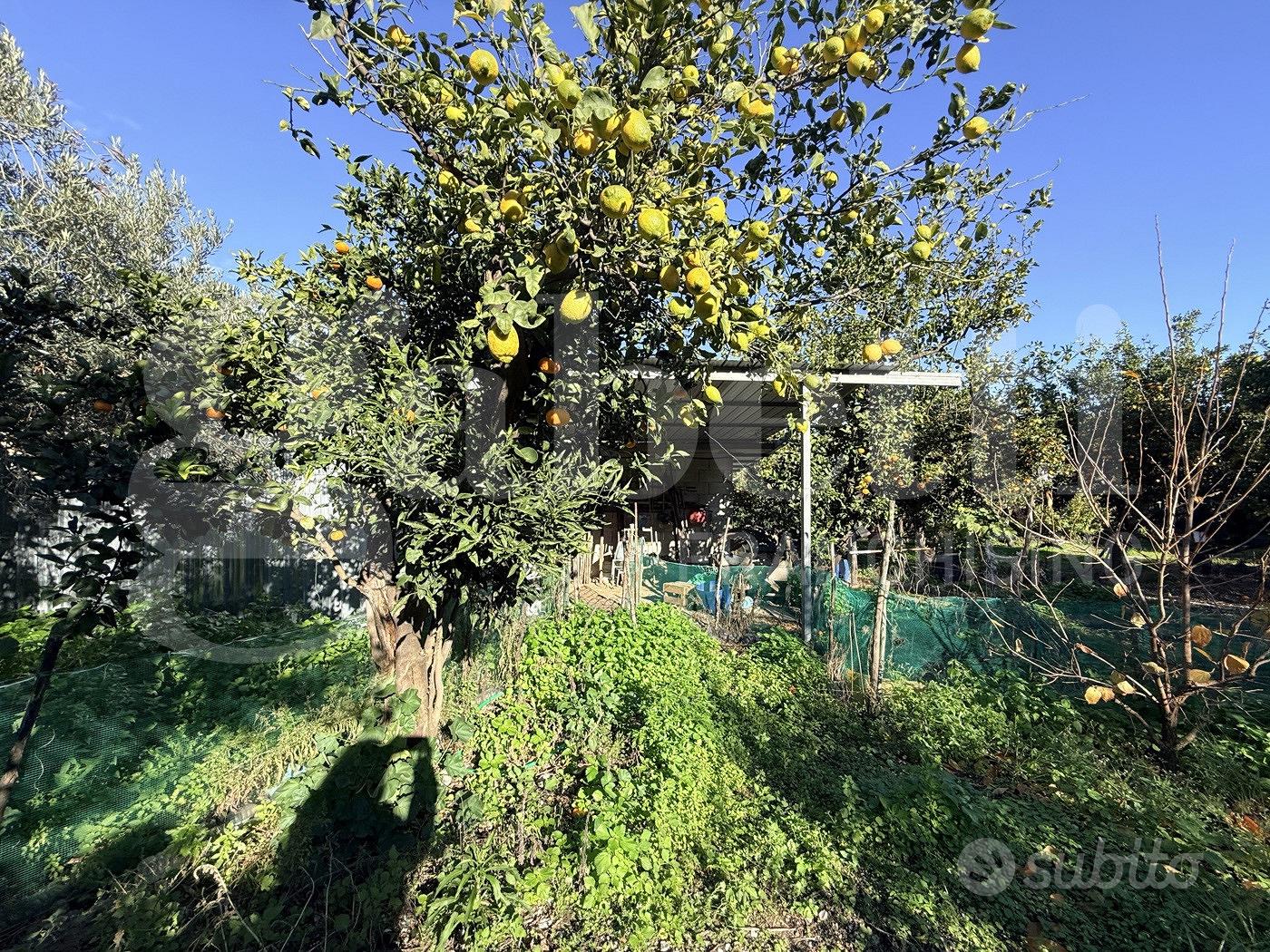 Terreno Agricolo Sant'Egidio del Monte Albino - Vista 2