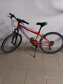 mountain bike