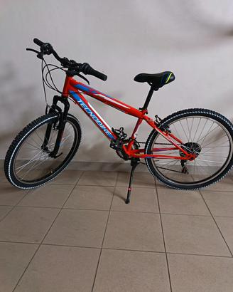 mountain bike