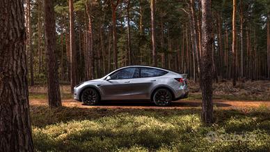 Tesla Model y Performance