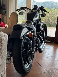 Harley davidson 883 iron