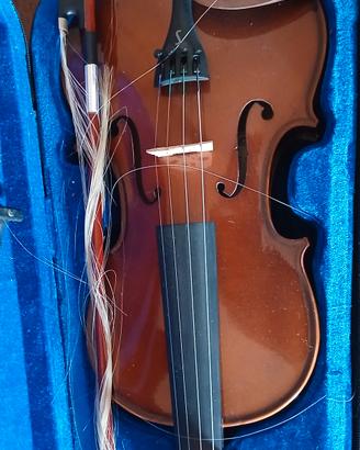 violino nuovo