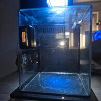 acquario mini 
