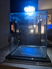 acquario mini 