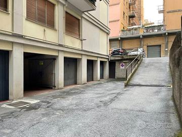 Box Borzoli bassa