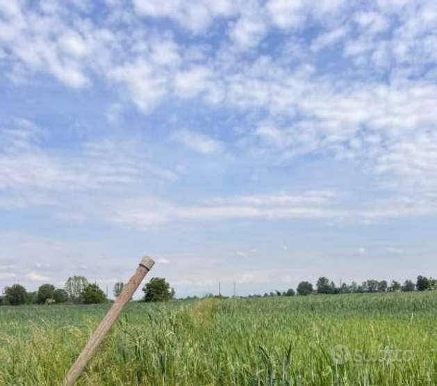 Immobile in asta di 24326 m² a Remedello - Vista 2