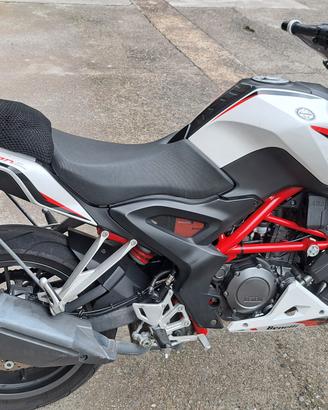 Benelli bn 251 abs