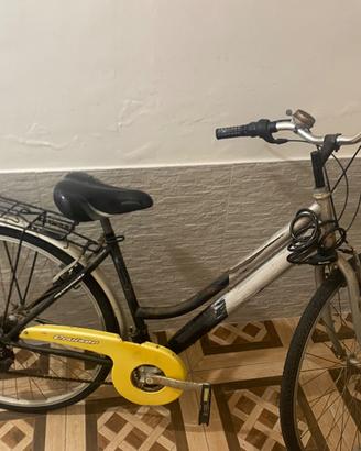 Bici da città donna 28” con cambio e portapacchi