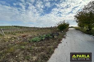 Terreno di 13000 m² a Canicattì