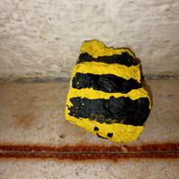 Sasso dipinto a mano "ape"