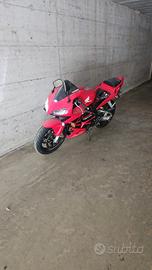 CBR 600RR 2003