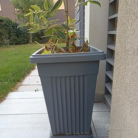 vaso alto grigio 40 x 40 x 60 cm