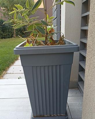 vaso alto grigio 40 x 40 x 60 cm