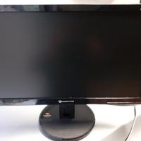 Monitor Packard Bell Viseo 203DX