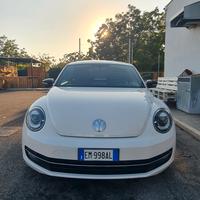 maggiolino 
