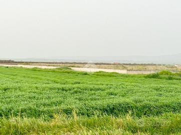 TER. AGRICOLO A SAN SEVERO