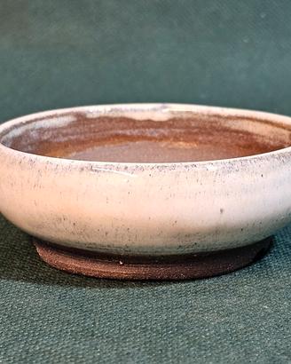 Vaso bonsai mame n.78